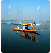 Dal Lake Srinagar,Dal Lake Kashmir,Dal Lake Sriangar Tour,Lake of Kashmir,Dal Lake Kashmir Tour